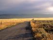 Empty Road And Wheat Field, Missouri by Chip Henderson Limited Edition Print