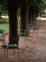 Chairs In Luxembourg Gardens, Paris, France by Eric Kamp Limited Edition Print