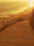 Walkway To Beach, Ca by Shubroto Chattopadhyay Limited Edition Print