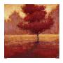 Peaceful Moment by John Kelley Limited Edition Print