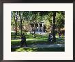 Harvard University, Boston, Massachusetts, Usa by Fraser Hall Limited Edition Print