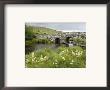 Quiet Man Bridge, Near Maam Cross, Connemara, County Galway, Connacht, Republic Of Ireland by Gary Cook Limited Edition Print