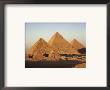Pyramids At Sunset, Giza, Unesco World Heritage Site, Near Cairo, Egypt, North Africa, Africa by Doug Traverso Limited Edition Pricing Art Print