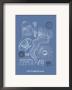 Jellyfish: Leptomedusae by Ernst Haeckel Limited Edition Print