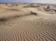 Wind-Rippled Patterns In The Sand Of The Sahara Desert by Stephen Sharnoff Limited Edition Pricing Art Print