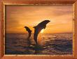 Two Dolphins by Hubert & Klein Limited Edition Pricing Art Print
