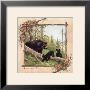 Black Bears Iv by Anita Phillips Limited Edition Pricing Art Print