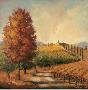 Hillside Vineyard by Jill Schultz Mcgannon Limited Edition Print