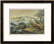 Animals And Plants Of The Post-Jurassic Era In Southern England by Ferdinand Von Hochstetter Limited Edition Pricing Art Print