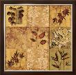 Array Of Leaves by Matina Theodosiou Limited Edition Pricing Art Print