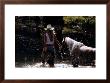 Cowgirl N' Horse by David R. Stoecklein Limited Edition Pricing Art Print
