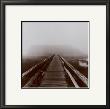 Misty Walk, Cape Cod by Reid Yalom Limited Edition Print