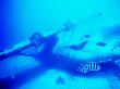 Catalina Flying Boat Wreck Underwater, French Polynesia by Michael Aw Limited Edition Print