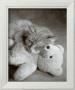 Nap With Teddy by Vikki Hart Limited Edition Print