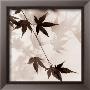 Japanese Maple Leaves I by Alan Blaustein Limited Edition Pricing Art Print