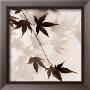 Japanese Maple Leaves I by Alan Blaustein Limited Edition Print