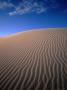 Sand Dunes, Eucla National Park, Australia by John Banagan Limited Edition Print