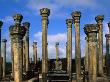 Lotus Stem Pillars Surround Dagaba Ruins At 8Th Century Mandalagiri Vehara, Anuradhapura, Sri Lanka by Bill Wassman Limited Edition Print