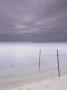 Metal Fence Poles On Beach, Nantucket, Ma by Gareth Rockliffe Limited Edition Print