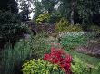 Walkway Under Stone Bridge Along Mixed Planting In Raised Beds, Norfolk Mother's Day by Robert Estall Limited Edition Pricing Art Print