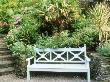 Blue Wooden Bench In Front Of Low Stone Wall, Trachycarpus, Cordyline & Phlomis, Cornwall by Mark Bolton Limited Edition Pricing Art Print