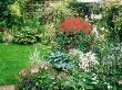 Small Suburban Garden Borders, Pond, Lawn, Mary Paynes Garden, Somerset by Mark Bolton Limited Edition Print