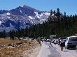 Summer Traffic Jam On The Raod To Yosemite National Park, Yosemite National Park, California, Usa by Curtis Martin Limited Edition Print