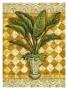 Elegant Palms Ii by Kathleen Denis Limited Edition Pricing Art Print