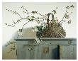 Apple Blossoms by Pauline Eble Campanelli Limited Edition Pricing Art Print