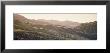 Vineyard In A Valley, Sonom, Sonoma County, California, Usa by Panoramic Images Limited Edition Print