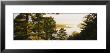 Ausable River, Huron-Manistee National Forest, Michigan, Usa by Panoramic Images Limited Edition Print