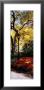 Lamppost In A Park, Central Park, Manhattan, New York City, New York, Usa by Panoramic Images Limited Edition Print