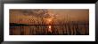 Lake Travis At Sunset, Austin, Texas by Panoramic Images Limited Edition Print