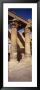Columns In Temple Of Isis, Philae, Agilika Island, Egypt by Panoramic Images Limited Edition Print