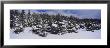 Trees On A Snow Covered Landscape, Sleeping Bear Dunes National Lakeshore, Empire, Michigan, Usa by Panoramic Images Limited Edition Print