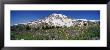 Snowcapped Mountain On A Landscape, Mt Rainier, Mt Rainier National Park, Washington, Usa by Panoramic Images Limited Edition Pricing Art Print
