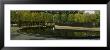 Reflection Of Trees In A Pool, Korean War Veterans Memorial, Washington Dc, Usa by Panoramic Images Limited Edition Print
