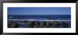 Boulders On The Beach, Moeraki Boulders, Gisborne, South Island, New Zealand by Panoramic Images Limited Edition Print