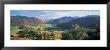 Trees On The Mountainside, Borrowdale, Lake District, England by Panoramic Images Limited Edition Print