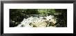 River Flowing Through The Forest, Nantahala National Forest, North Carolina, Usa by Panoramic Images Limited Edition Print