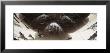 Reflection Of Tourists On The Sculpture, Cloud Gate, Millennium Park, Chicago, Illinois, Usa by Panoramic Images Limited Edition Pricing Art Print