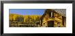 Cowboy Sitting On A Window Of A Log Cabin, Ouray County, Ridgeway, Colorado, Usa by Panoramic Images Limited Edition Print