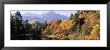 Waterfront And Mountain Range, Uncompahgre National Forest, Colorado, Usa by Panoramic Images Limited Edition Print