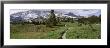 Path, Mazama Ridge, Mt. Rainier National Park, Mt. Rainier, Washington, Usa by Panoramic Images Limited Edition Pricing Art Print