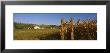 Corn In A Field After Harvest, Along Sr19, Ohio, Usa by Panoramic Images Limited Edition Print