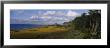 Cloudy Sky Over A Forest, Four Hole Swamp, Francis Beidler Forest, South Carolina, Usa by Panoramic Images Limited Edition Print