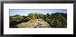 Trees Surrounding The Natural Bridge, Daniel Boone National Forest, Kentucky, Usa by Panoramic Images Limited Edition Print