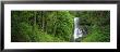 Silver Falls State Park, Oregon, Usa by Panoramic Images Limited Edition Print