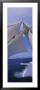 Sailboat's Mast by Panoramic Images Limited Edition Print