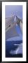 Sailboat's Mast by Panoramic Images Limited Edition Pricing Art Print